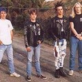 Cryptic Slaughter