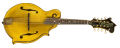 Gibson Custom F-5 Goldrush