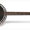Epiphone Stagebird™ 6-String Electric Banjo