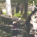 林曦