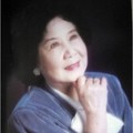 杨飞飞