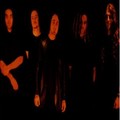 Cryptal Darkness