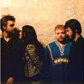 Guillemots