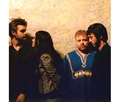 Guillemots