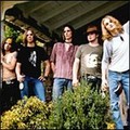 Silvertide