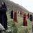 Gregorian