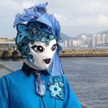 龙小菌
