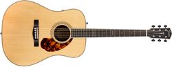 PM-1 Limited Adirondack Dreadnought, Rosewood