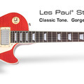 Les Paul Standard Plus Top