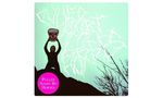 Pulled Apart by Horses