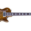Gibson USA Les Paul Birdseye