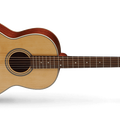 L100P