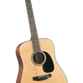 BR-40
