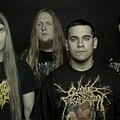 Viraemia