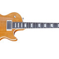 Gibson USA Les Paul Standard Mahogany Top