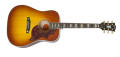 Gibson Acoustic Wildfirebird