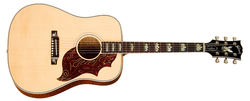 Gibson Acoustic Firebird Custom