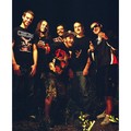 Animosity