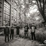 IP9乐队