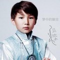 乌达木