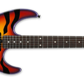 SUNBURST TIGER