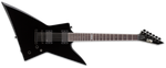 EX-401 - BLACK