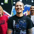 Regurgitator