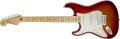 Standard Stratocaster® Plus Top Left-Hand