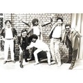Alleycats