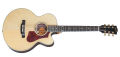 Gibson Acoustic HP 665 SB
