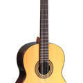 Contra Bass