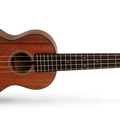 UKE-BWC