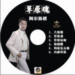 阿尔斯楞