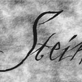 Stein(2)
