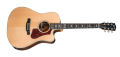 Gibson Acoustic Hummingbird Rosewood AG 2018