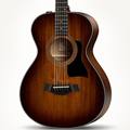 322e 12-Fret