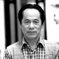 何占豪