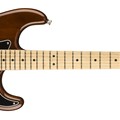 American Special Stratocaster®