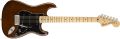 American Special Stratocaster®