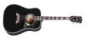 Gibson Acoustic Dove Abalone Custom