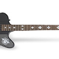 Nikki Sixx Blackbird