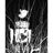 ColdWorld