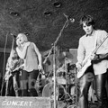 Radio Birdman