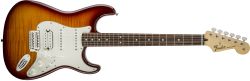 Standard Stratocaster® HSS Plus Top