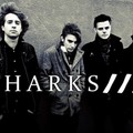 Sharks