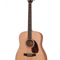 Larrivee D-03/D-03-12