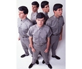 Devo(退化)