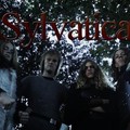Sylvatica