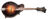 Gibson Custom F-5G