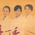 紫丁香